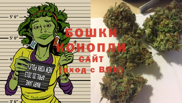 прущий лед Каменка