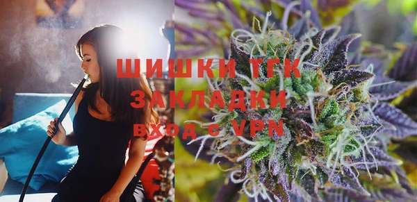 прущий лед Каменка