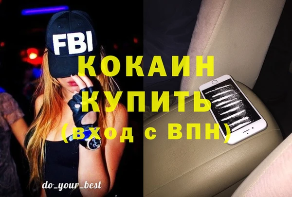 прущий лед Каменка
