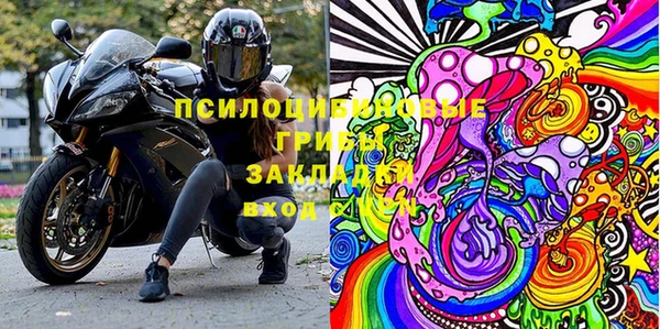 прущий лед Каменка