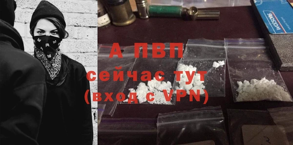 прущий лед Каменка