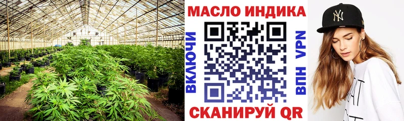 Купить закладки Заринск ТГК THC oil